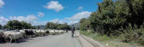 Giro del Mare – Spring 2019